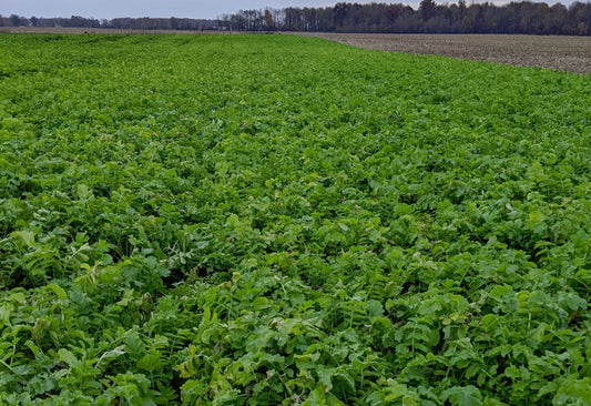 Garden Mix Crop Cover - 169A