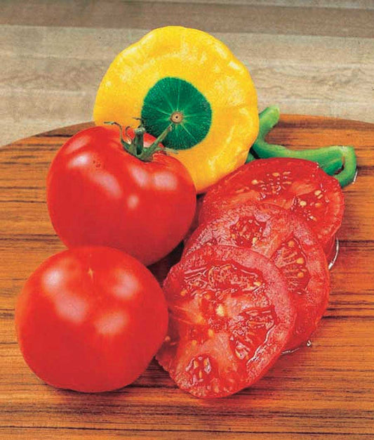 Tomato Bush Early Girl Hybrid (54 Days) - 2310A