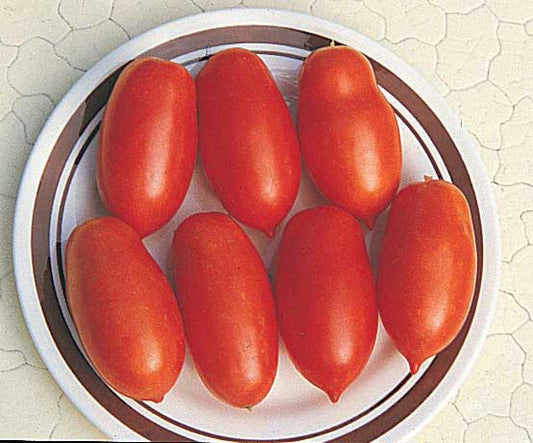 Paste Tomato Mamma Mia Hybrid (60 Days) - 2370A