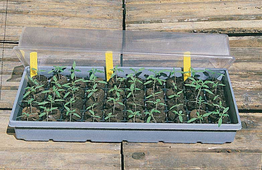 T &amp; T Starter Kit - 3004