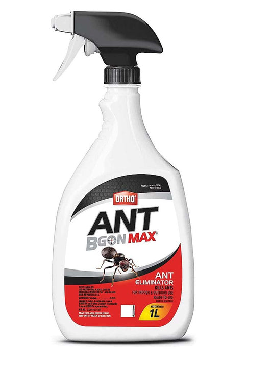 Ortho Ant B Gon Max - 3530A