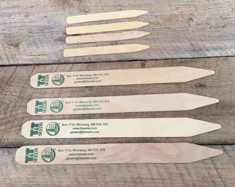 Wooden Labels For Flats 15cm x 2cm (6" x 5/8") - 3642A