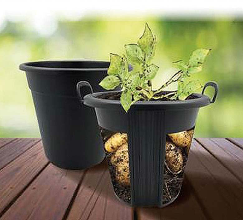 Potato Pot - 3891A
