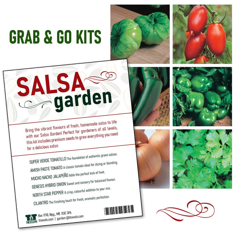 Grab and Go Salsa Garden - 4201A
