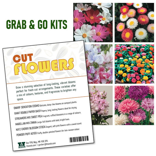 Grab and Go Cut Flower Garden - 4203A