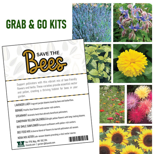 Grab and Go Save Bees - 4205A