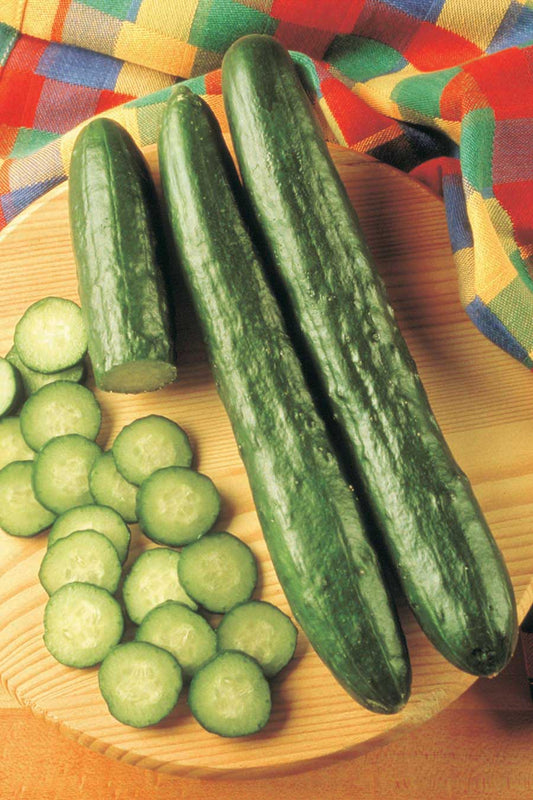 Cucumber Sweeter Yet (48 Days) - 715A