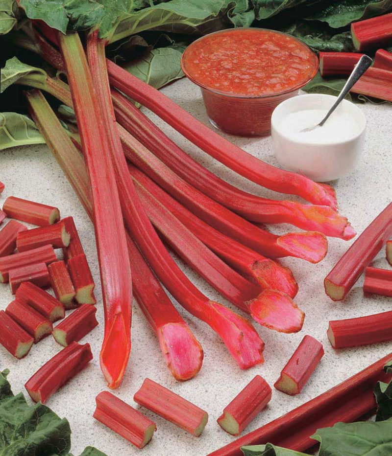 Rhubarb Valentine - 8092A