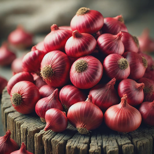 Red Onion Sets - 9006A