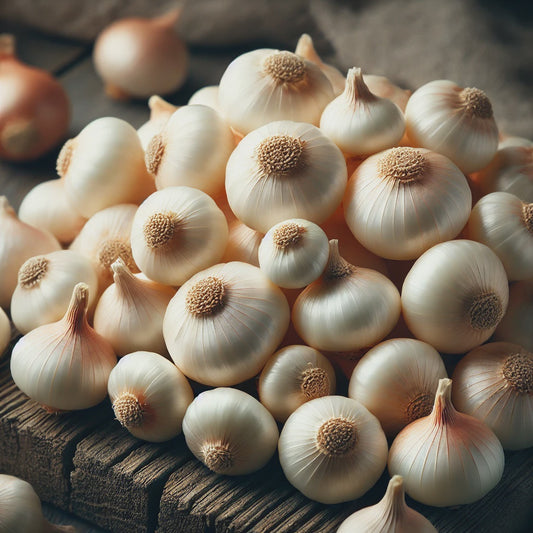 White Onion Sets - 9009A