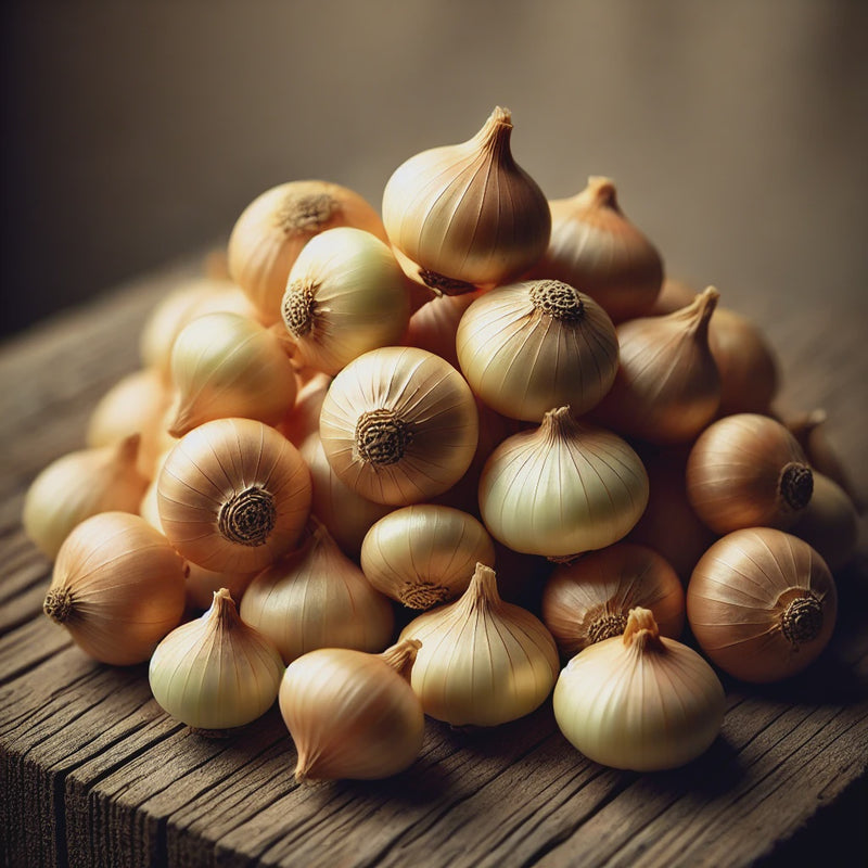 Spanish Onion Type Sets - 9010A