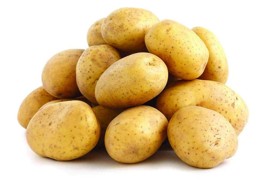 Seed Potatoes Dakota Pearl - 9045A