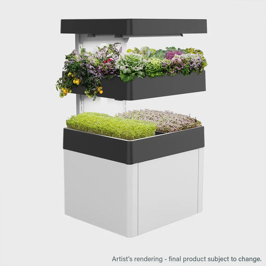 Les Verts Terrace Indoor Garden - LVL-IG-001