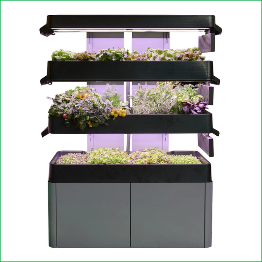 Les Verts Terrace Pro (3-tier) - LVL-IG-003