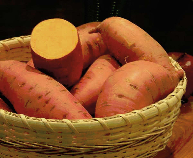 Covington Sweet Potatoes - 9100A